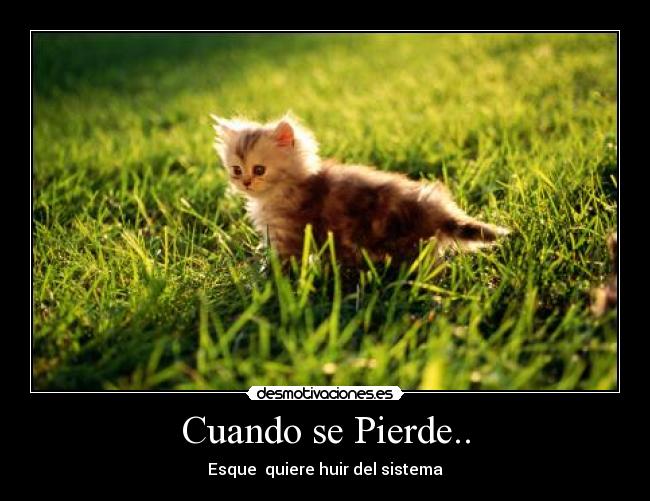 carteles politica humor desmotivaciones