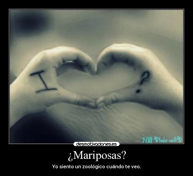 ¿Mariposas? - Yo siento un zoológico cuándo te veo.