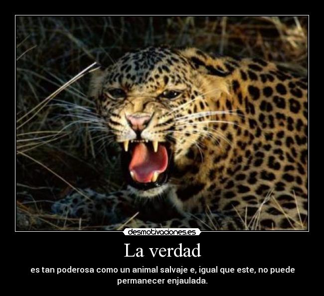 carteles verdad divergente insurgente animal enjaulado desmotivaciones