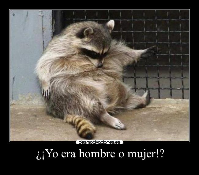¿¡Yo era hombre o mujer!? - 