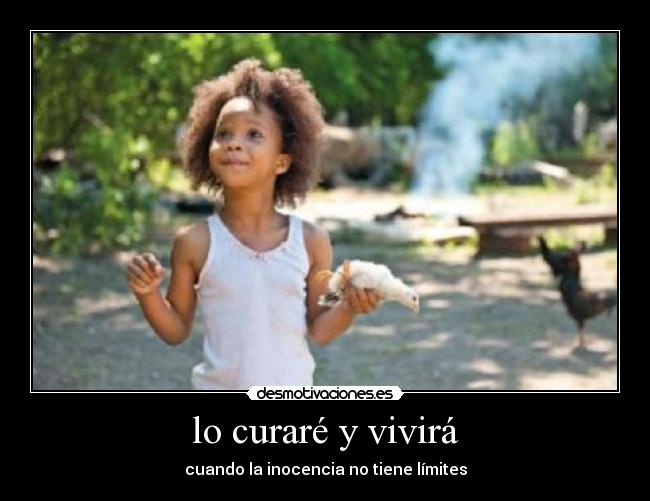 carteles pollito desmotivaciones