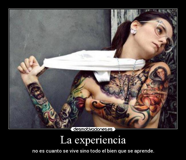 carteles mis expectaciones son simples cosas vamos principal jajajajaja mas cola que nadin desmotivaciones