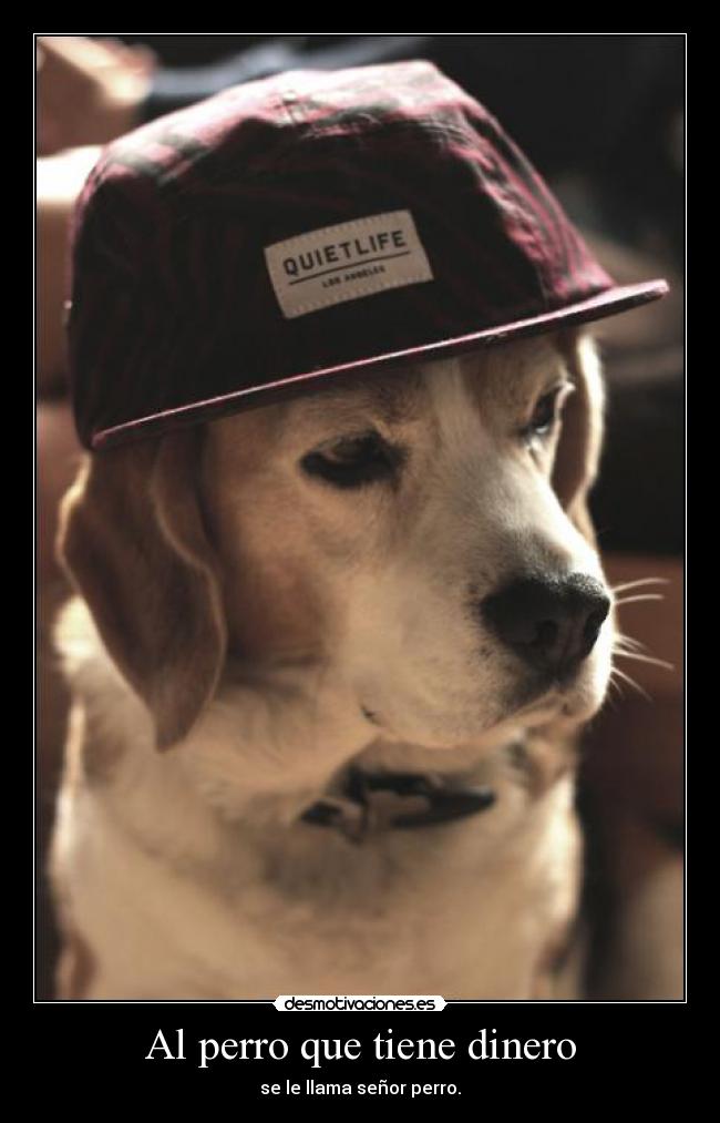 Al perro que tiene dinero -