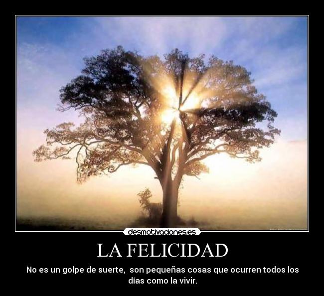 carteles felicidad felicidad desmotivaciones