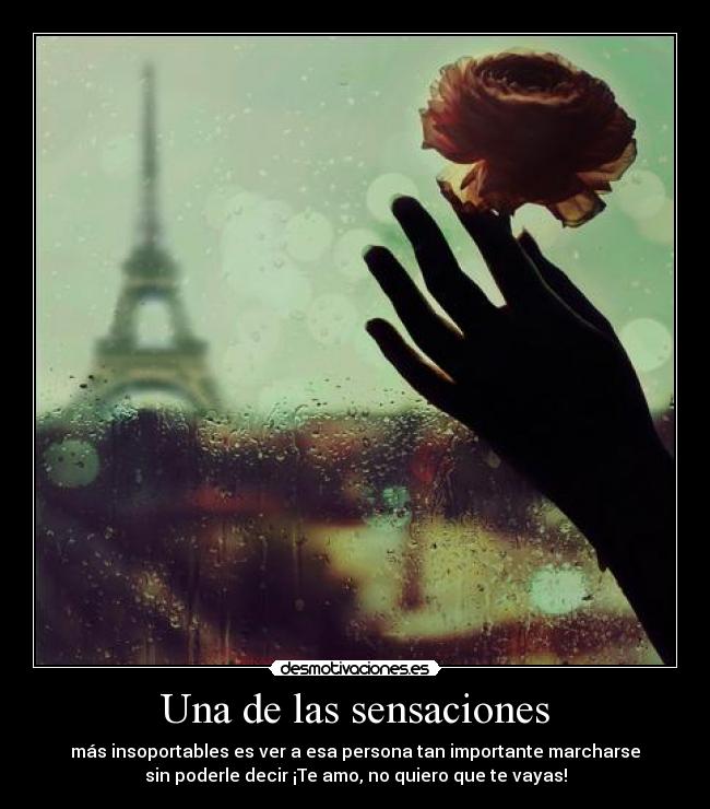 Una de las sensaciones -