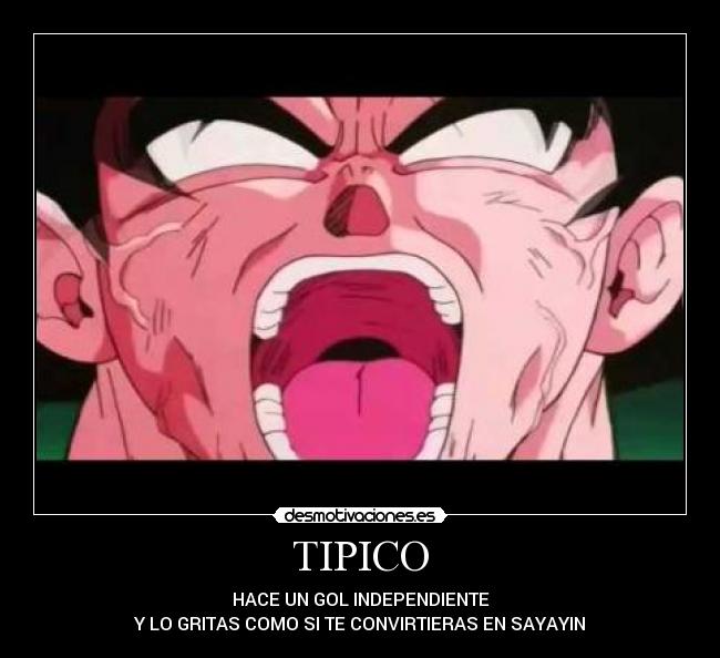 TIPICO -