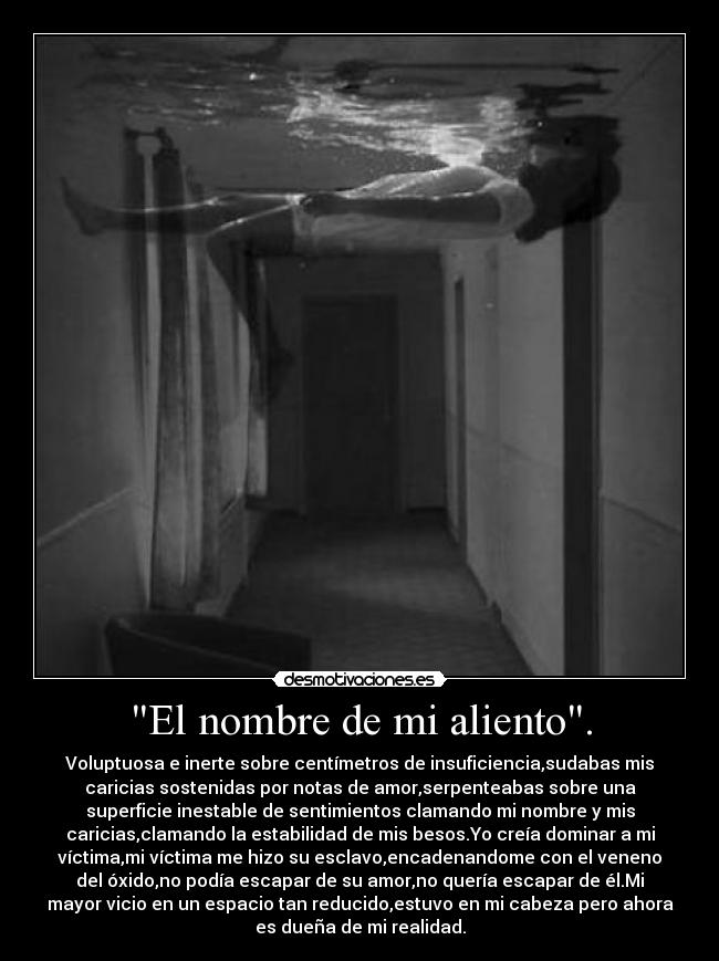 El nombre de mi aliento. - Voluptuosa e inerte sobre centímetros de insuficiencia,sudabas mis
caricias sostenidas por notas de amor,serpenteabas sobre una
superficie inestable de sentimientos clamando mi nombre y mis
caricias,clamando la estabilidad de mis besos.Yo creía dominar a mi
víctima,mi víctima me hizo su esclavo,encadenandome con el veneno
del óxido,no podía escapar de su amor,no quería escapar de él.Mi
mayor vicio en un espacio tan reducido,estuvo en mi cabeza pero ahora
es dueña de mi realidad.