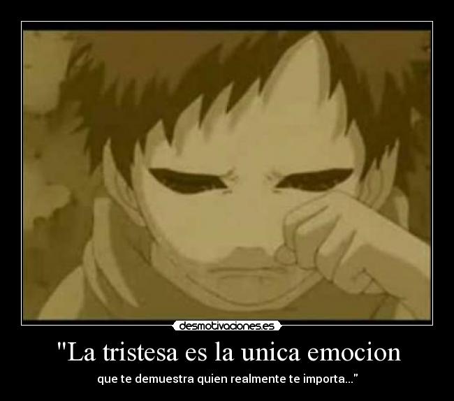 La tristesa es la unica emocion - que te demuestra quien realmente te importa...
