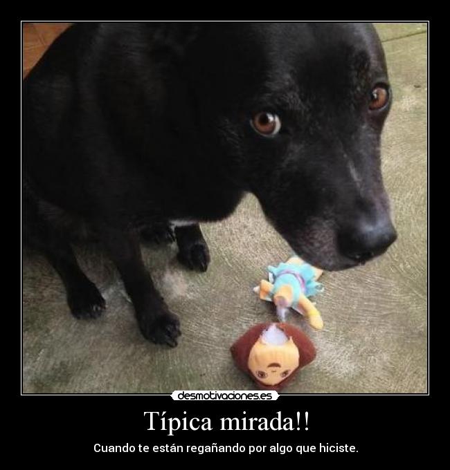 Típica mirada!! -
