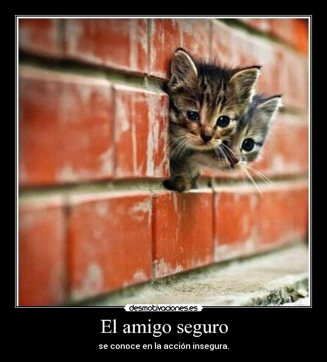 El amigo seguro - se conoce en la acción insegura.