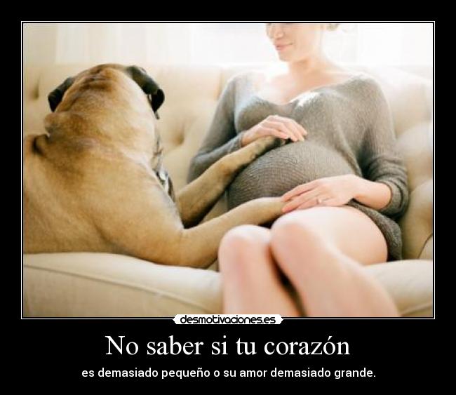 No saber si tu corazón - es demasiado pequeño o su amor demasiado grande.