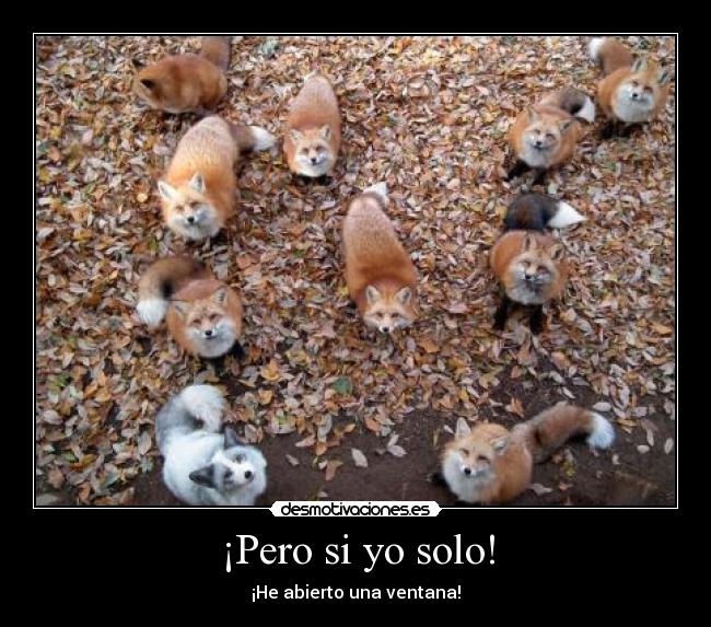 ¡Pero si yo solo! -