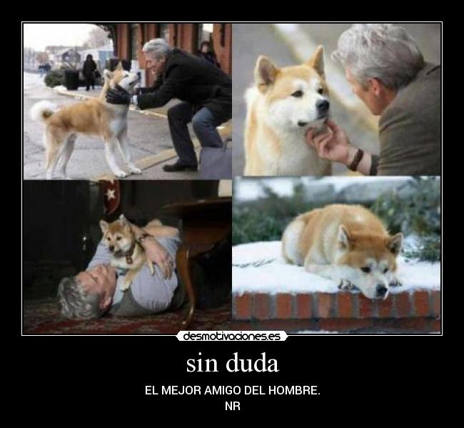 sin duda - EL MEJOR AMIGO DEL HOMBRE.
NR