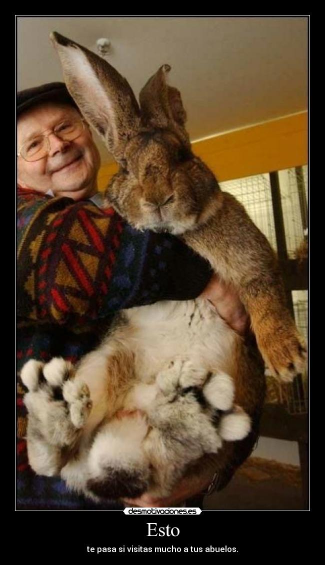Esto - te pasa si visitas mucho a tus abuelos.