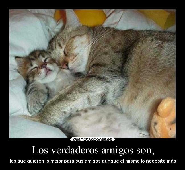 Los verdaderos amigos son, - los que quieren lo mejor para sus amigos aunque el mismo lo necesite más