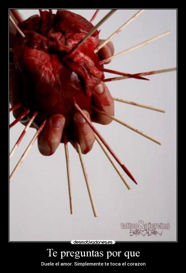 Te preguntas por que -