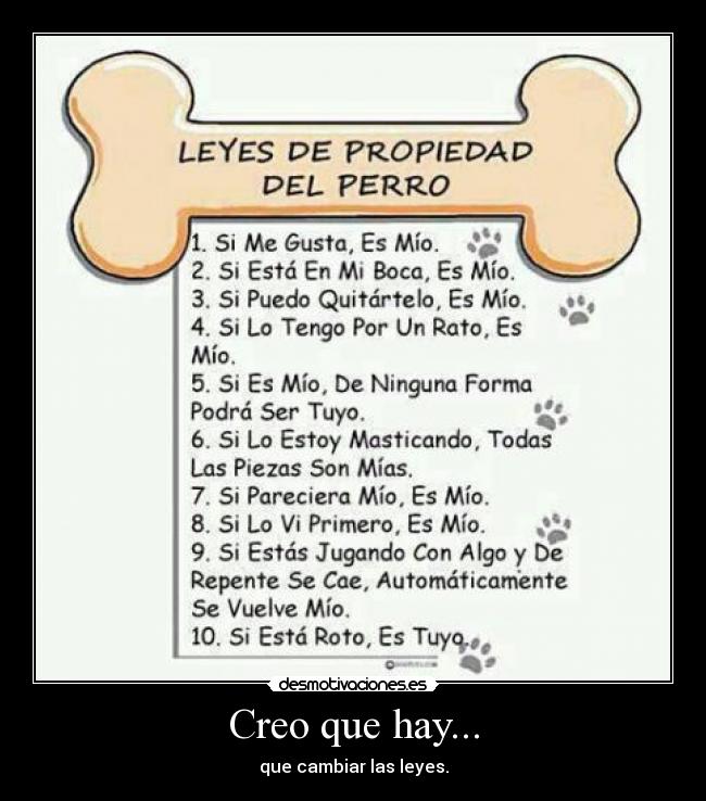 Creo que hay... - 