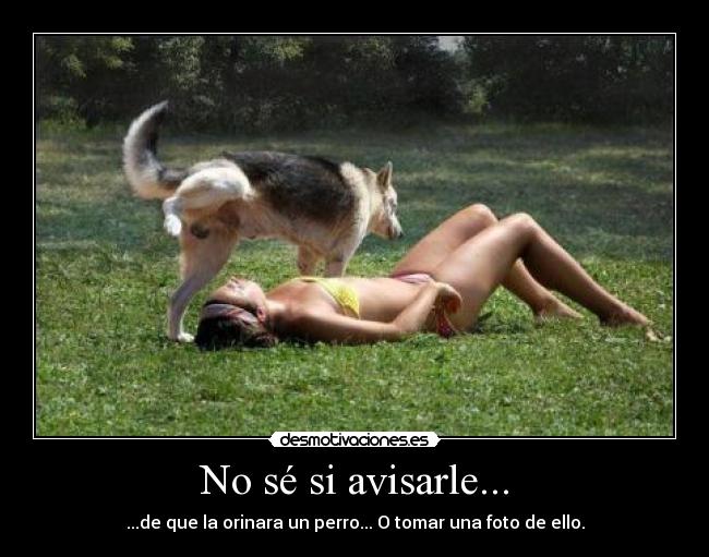 No sé si avisarle... - ...de que la orinara un perro... O tomar una foto de ello.