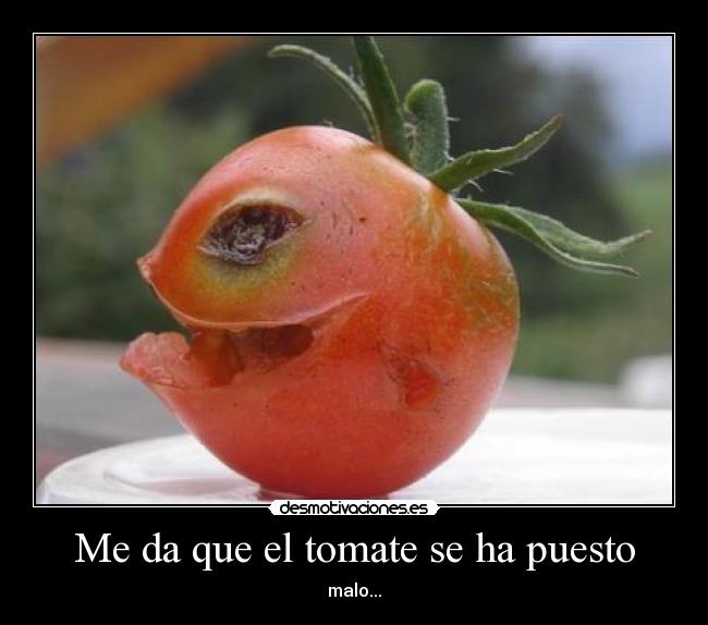 Me da que el tomate se ha puesto - malo...