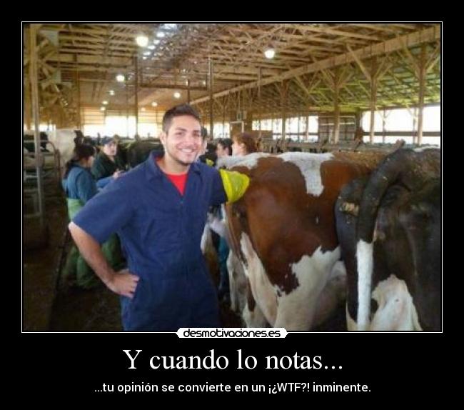 Y cuando lo notas... - ...tu opinión se convierte en un ¡¿WTF?! inminente.