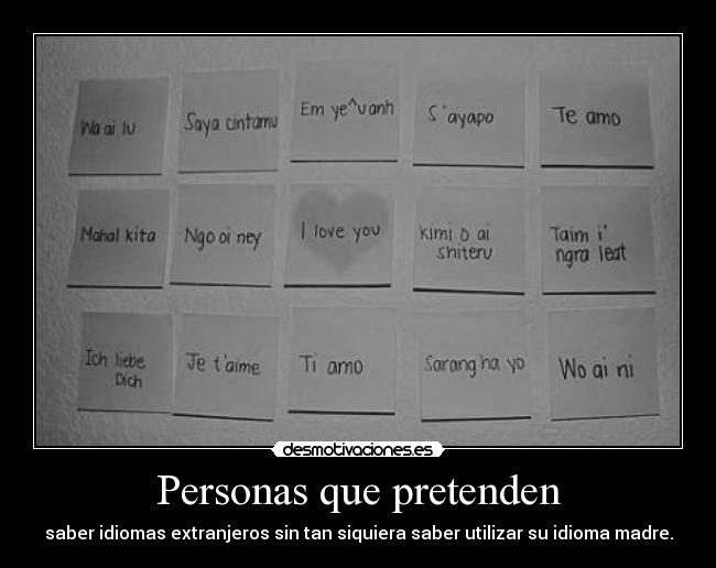 Personas que pretenden - saber idiomas extranjeros sin tan siquiera saber utilizar su idioma madre.