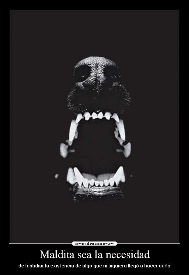 Maldita sea la necesidad - de fastidiar la existencia de algo que ni siquiera llegó a hacer daño.