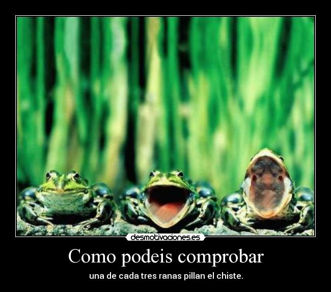 Como podeis comprobar -