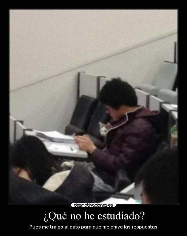 ¿Qué no he estudiado? -