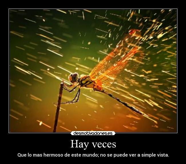 Hay veces - Que lo mas hermoso de este mundo; no se puede ver a simple vista.