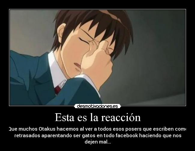 Esta es la reacción - Que muchos Otakus hacemos al ver a todos esos posers que escriben como
retrasados aparentando ser gatos en todo facebook haciendo que nos
dejen mal...
