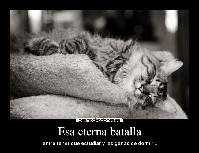 Esa eterna batalla - entre tener que estudiar y las ganas de dormir...