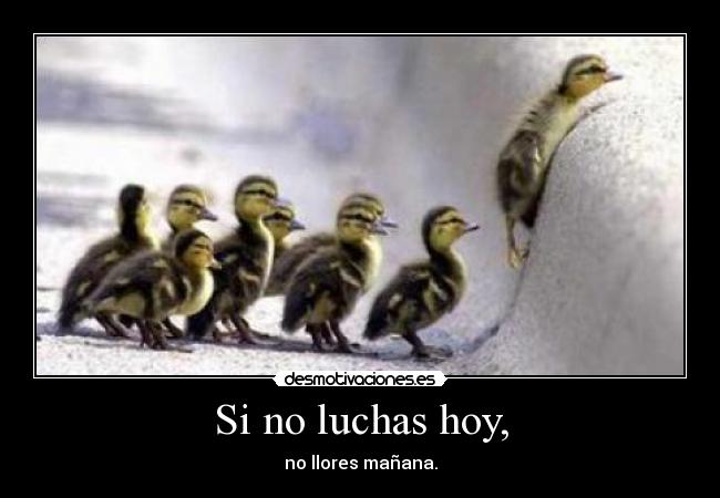 Si no luchas hoy, -