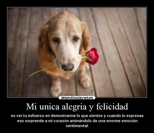 Mi unica alegria y felicidad - 