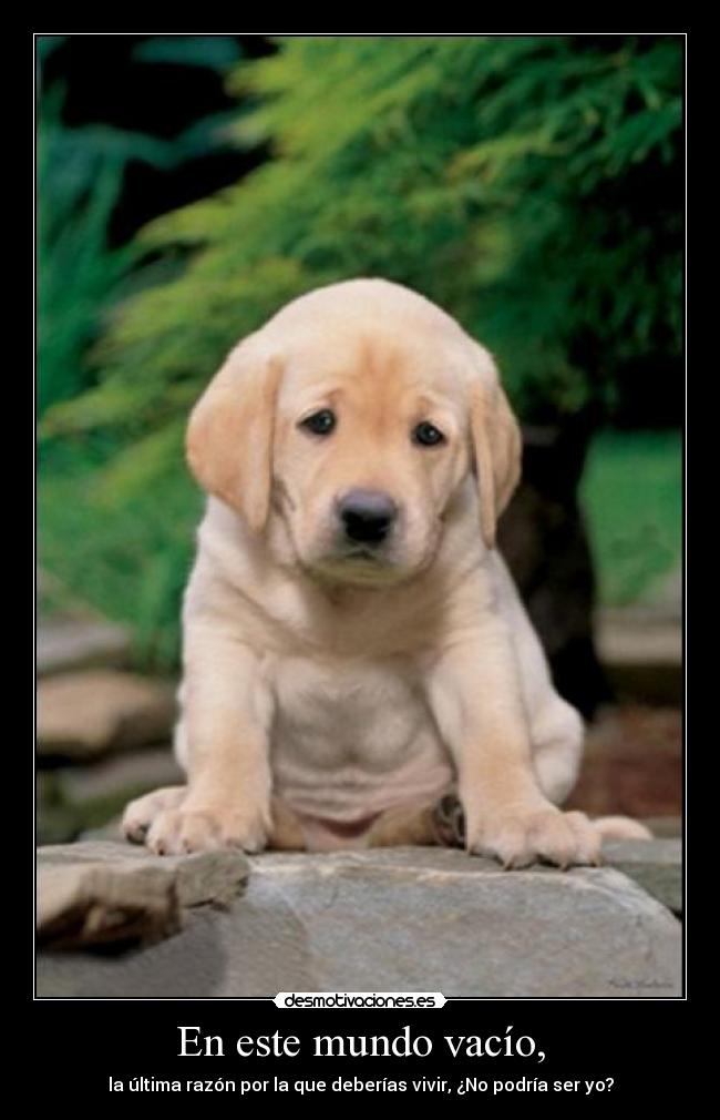 En este mundo vacío, - la última razón por la que deberías vivir, ¿No podría ser yo?