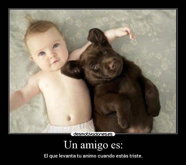 Un amigo es: - El que levanta tu animo cuando estás triste.