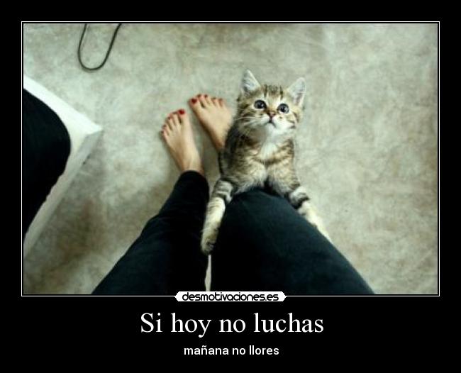 Si hoy no luchas - 