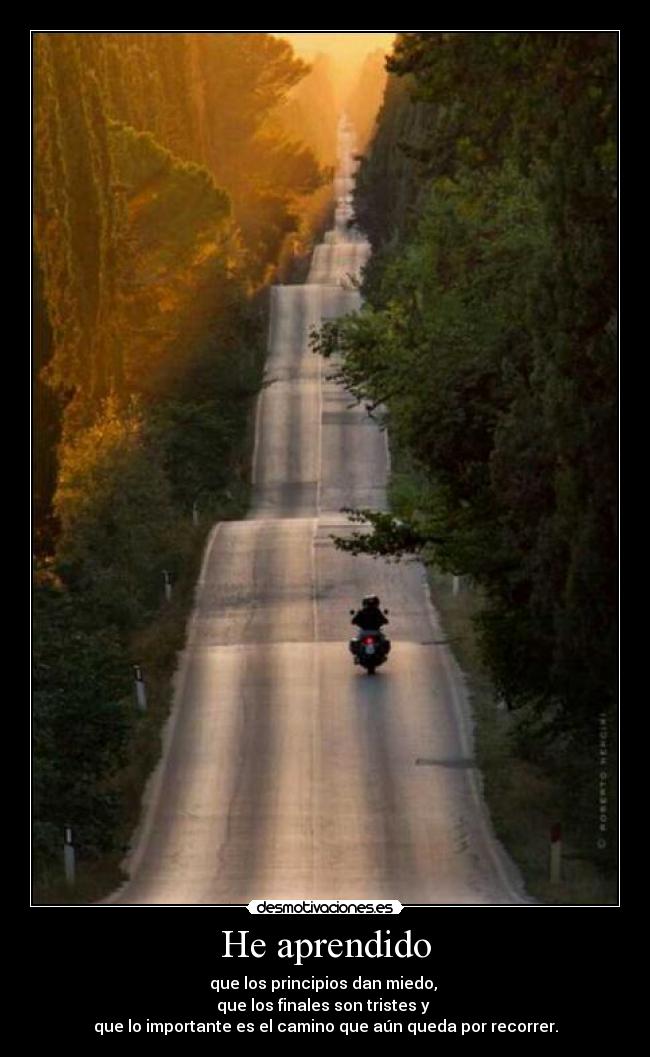 carteles aprendido desmotivaciones