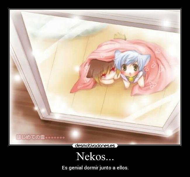 Nekos... - Es genial dormir junto a ellos.
