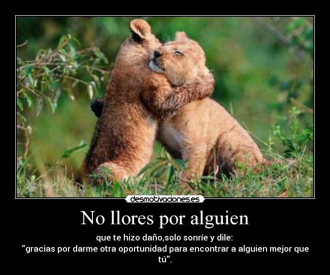 No llores por alguien -