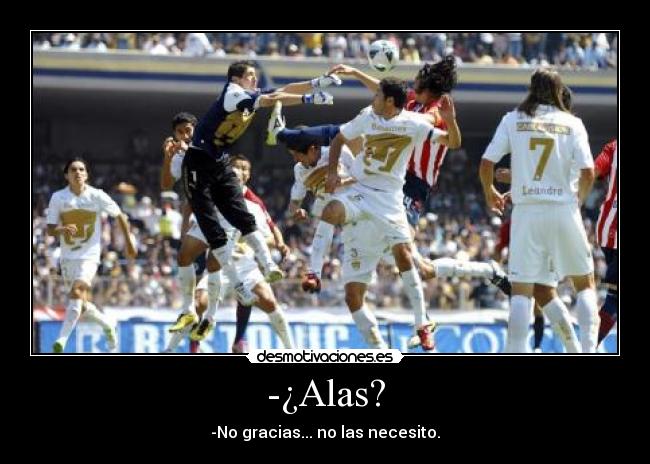 -¿Alas? - -No gracias... no las necesito.