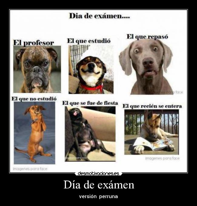 Día de exámen - 
