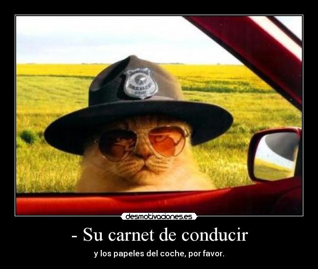 - Su carnet de conducir - y los papeles del coche, por favor.