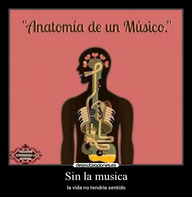 Sin la musica -