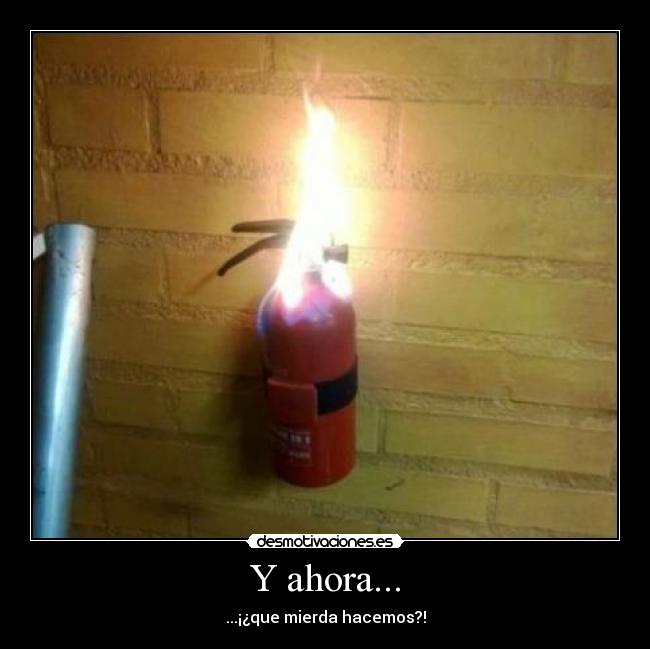 Y ahora... - ...¡¿que mierda hacemos?!