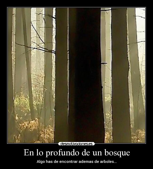 En lo profundo de un bosque - Algo has de encontrar ademas de arboles...