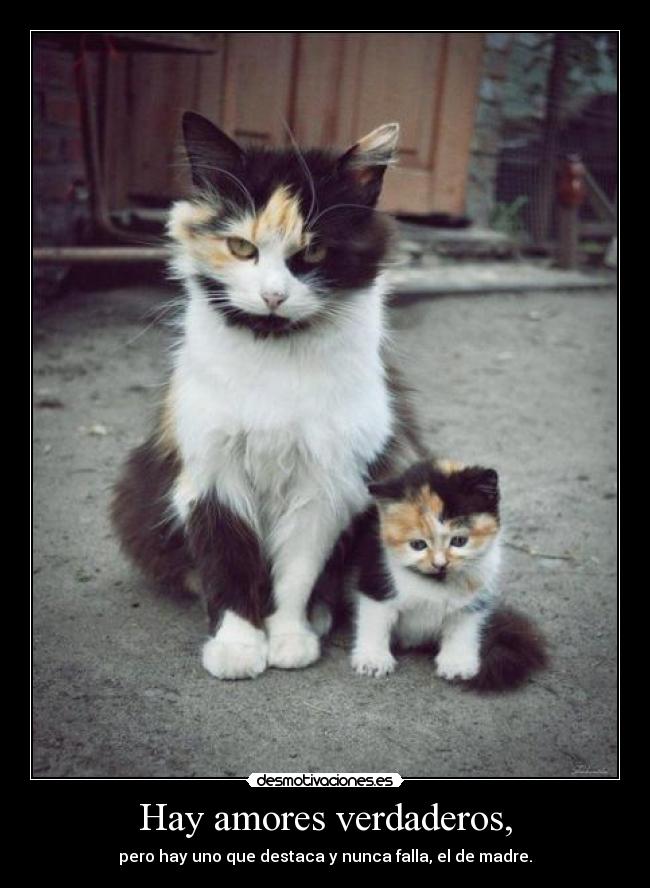 Hay amores verdaderos, - pero hay uno que destaca y nunca falla, el de madre.