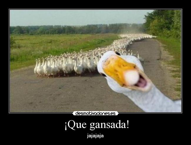 ¡Que gansada! - jajajaja