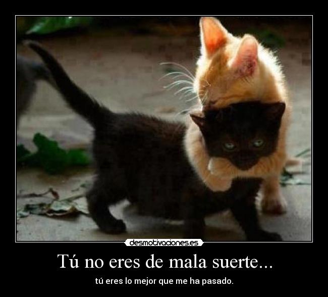 Tú no eres de mala suerte... - 