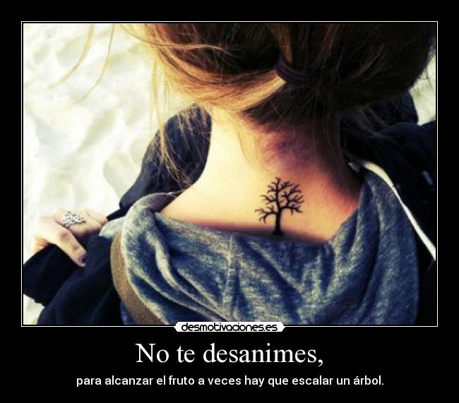 No te desanimes, - para alcanzar el fruto a veces hay que escalar un árbol.