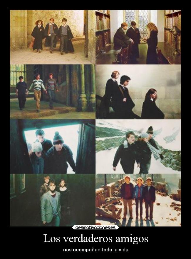 carteles amigos verdaderos amigos harry potter acompanar desmotivaciones